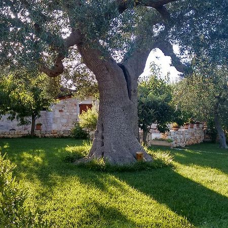 Il Giardino Degli Ulivi Bed & Breakfast Castellana Grotte Exterior foto